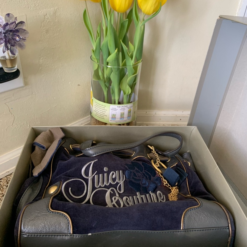 Authentic-Juicy Couture Velour blue with Rose.